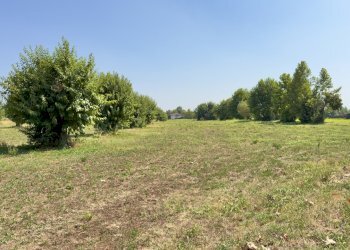 IMG_8031 - Agricultural land Via San Francesco D'Assisi 40, Borgosatollo - photo 4
