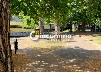 viagen2 - Appartamento Via Genova 12, Potenza - foto 2