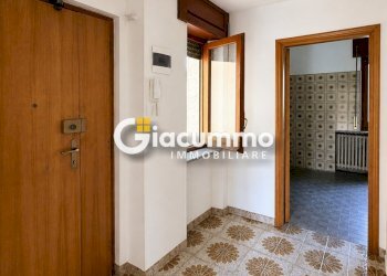 viagen4 - Appartamento Via Genova 12, Potenza - foto 3