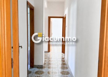 viagen7 - Appartamento Via Genova 12, Potenza - foto 10