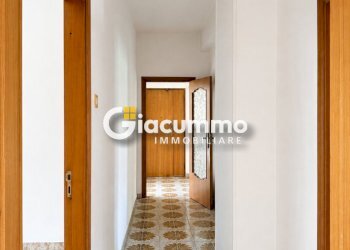 viagen16 - Appartamento Via Genova 12, Potenza - foto 15