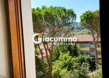 viagen18 - Appartamento Via Genova 12, Potenza - foto 17