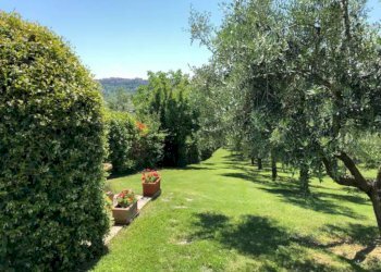 Giardino - Rustico via Santo Stefano, Osimo - foto 28