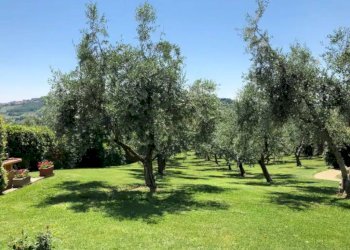 Terreno - Rustico via Santo Stefano, Osimo - foto 29