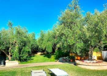 Giardino - Rustico via Santo Stefano, Osimo - foto 31