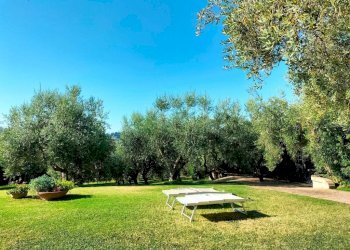 Giardino - Rustico via Santo Stefano, Osimo - foto 32