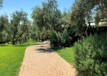 Giardino - Rustico via Santo Stefano, Osimo - foto 33