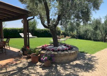 Giardino - Rustico via Santo Stefano, Osimo - foto 39