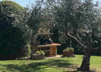 Giardino - Rustico via Santo Stefano, Osimo - foto 41