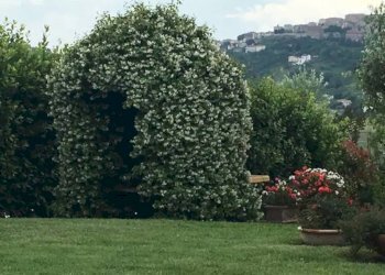 Giardino - Rustico via Santo Stefano, Osimo - foto 42