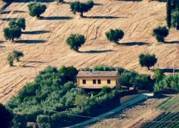 Zona - Rustico via Santo Stefano, Osimo - foto 44