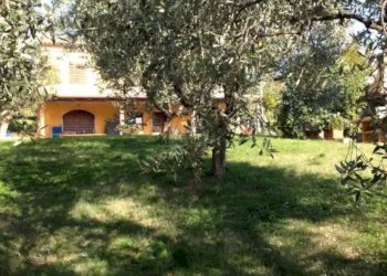 Giardino - Rustico via Santo Stefano, Osimo - foto 6
