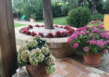 Giardino - Rustico via Santo Stefano, Osimo - foto 25