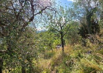 Esterni - Rustico via Primo Maggio, Leivi - foto 10