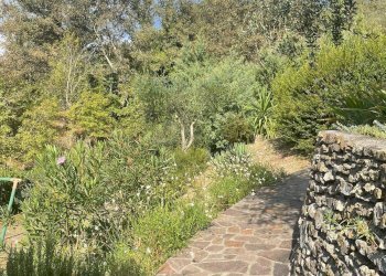 Foto 12 - Rustico Bassanico, Casanova Lerrone - foto 12