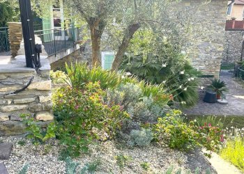 Foto 13 - Rustico Bassanico, Casanova Lerrone - foto 13