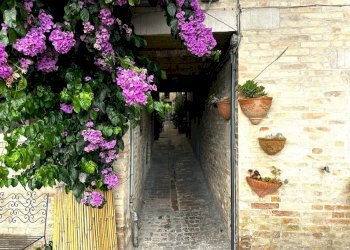 Foto 27 - Casa indipendente VIA VITTORIO VENETO, Fermo - foto 27