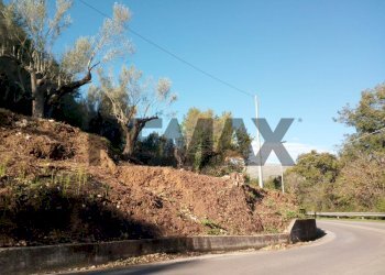 Non correlato - Terreno agricolo Via Francesco Cusati
SNC, Camerota - foto 7