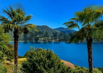 Vista dell\'acqua - Trilocale via delle Robinie
 
23, Valsolda - foto 1