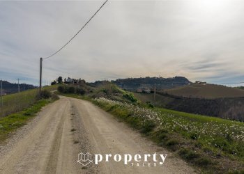 Foto 14 - Rustico colle del giglio, Ripatransone - foto 14