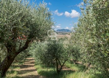 Foto 43 - Rustico Via Roma
 
1185, Montescudo - Monte Colombo - foto 43