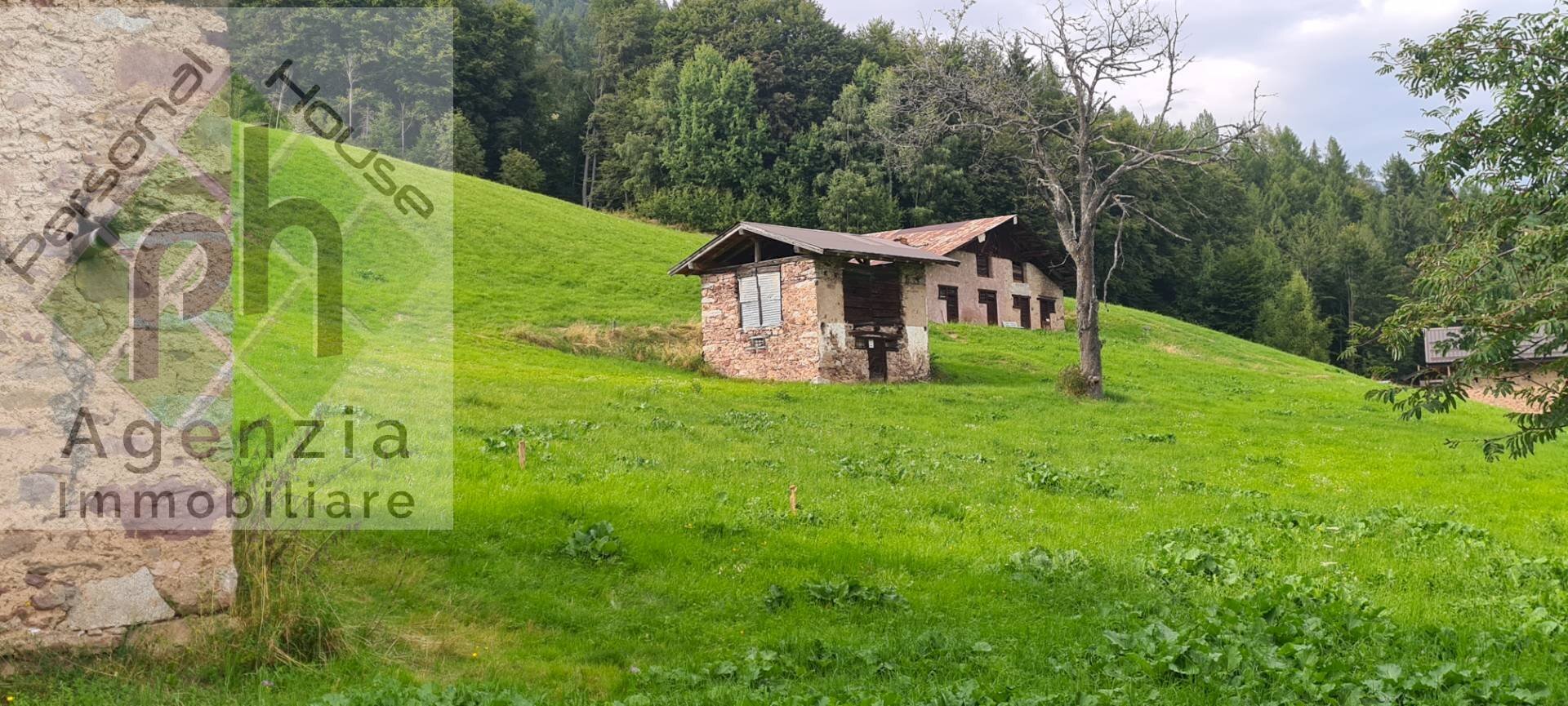 Foto 1 - Casa indipendente Castel Condino - foto 1
