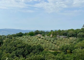 Foto 1 - Rustico Loc III san giovanni, Manciano - foto 1