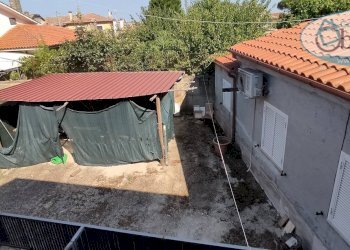 Foto 1 - Casa indipendente Piazza dell'Olmo, Manziana - foto 1