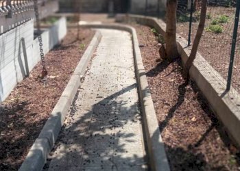 Giardino - Villa via Bosco Lucarelli, San Giorgio del Sannio - foto 10