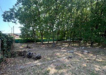 Cascina Via Basse Sant'Anna, Cuneo - foto 8