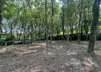 Cascina Via Basse Sant'Anna, Cuneo - foto 22