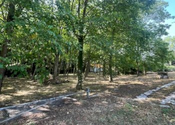 Cascina Via Basse Sant'Anna, Cuneo - foto 23