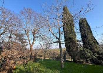 VISTA - Rustic Via del Pino, 7, Ozzano dell'Emilia - photo 11