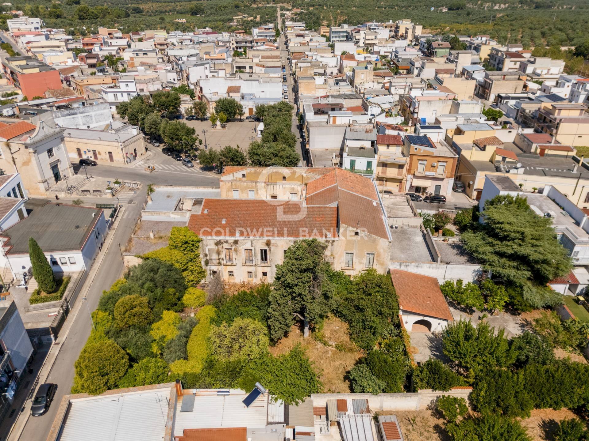 Foto 2 - Independent house Via Sylos Labini, Bitonto - photo 2