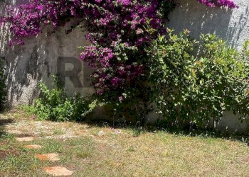 Giardino - Villa viadel biancospino
 
116, Anzio - foto 13