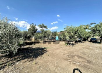 Giardino - Terreno agricolo contrada guardia maio
S.N., Biancavilla - foto 36