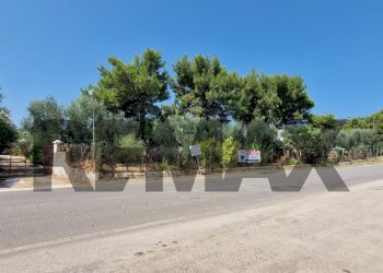 Non correlato - Villa Umbramare
4, Vieste - foto 2