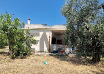 Casa all\'aperto - Villa Umbramare
4, Vieste - foto 4