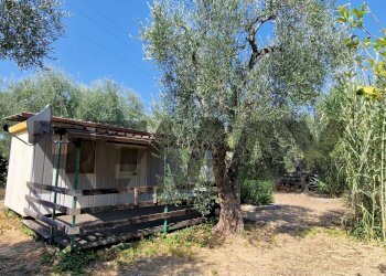 Casa all\'aperto - Villa Umbramare
4, Vieste - foto 5