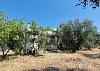 Giardino - Villa Umbramare
4, Vieste - foto 6