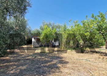 Giardino - Villa Umbramare
4, Vieste - foto 9