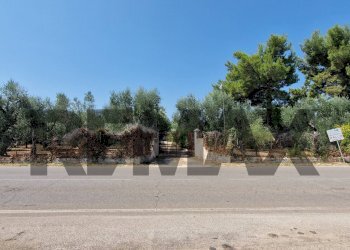 Non correlato - Villa Umbramare
4, Vieste - foto 10