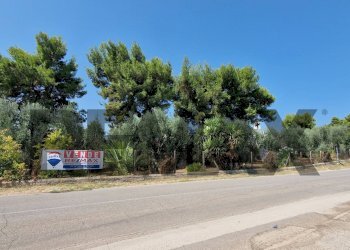 Non correlato - Villa Umbramare
4, Vieste - foto 11