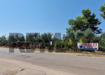 Non correlato - Villa Umbramare
4, Vieste - foto 12