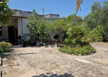 Giardino - Villa Umbramare
4, Vieste - foto 15