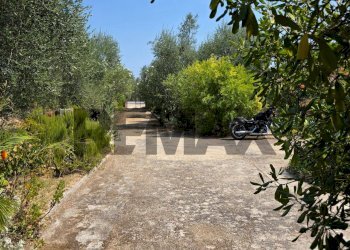 Giardino - Villa Umbramare
4, Vieste - foto 17