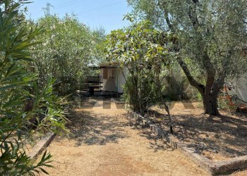 Giardino - Villa Umbramare
4, Vieste - foto 18
