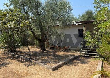 Giardino - Villa Umbramare
4, Vieste - foto 19