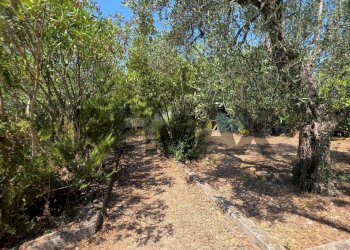 Giardino - Villa Umbramare
4, Vieste - foto 20