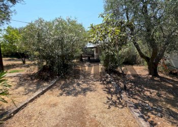 Giardino - Villa Umbramare
4, Vieste - foto 21